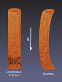 Musings on Structural Gingerbread