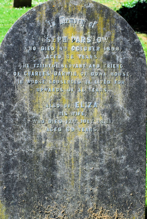 Grave of Darwin's servant (photo Sven Klinge)