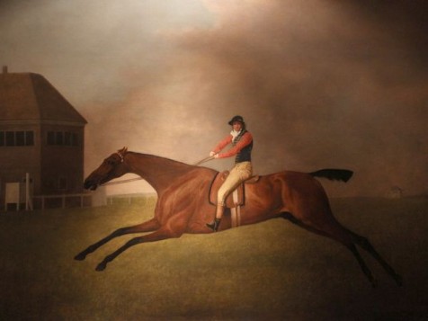 Before photography, the motion of horses in motion was often mis-represented. Baronet with Sam Chifney Up, by George Stubbs.  (Photo: Tim Jones of a painting at Huntington Library)