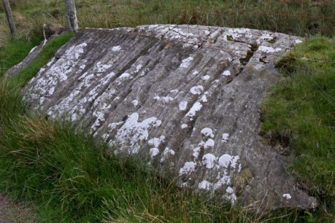 Glacier scarred morain rock near Llanberis (Photo:Tim Jones)