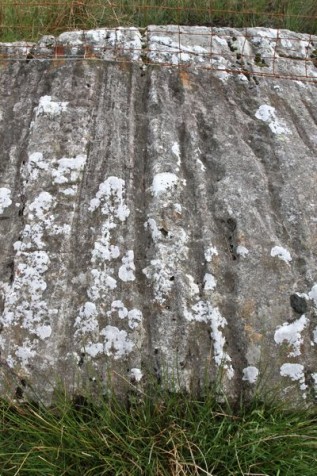 Glacier-scarred morain rock near Llanberis, North Wales. Photo:Tim Jones
