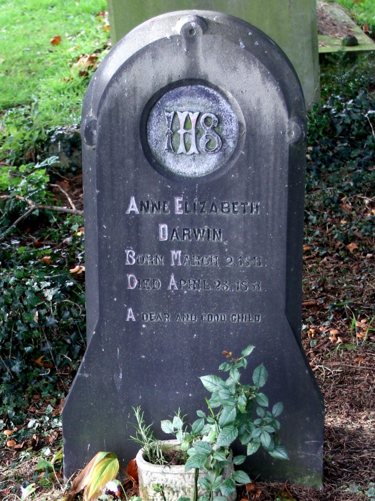 'Annie' Darwin's gravestone at Great Malvern Priory (Photo:Tim Jones)