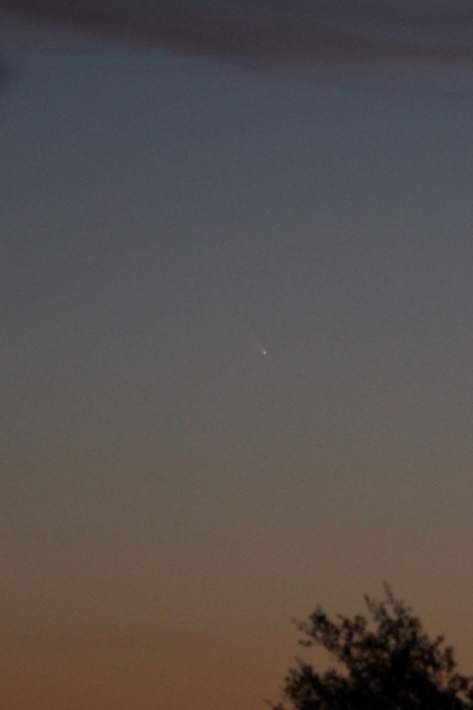 Comet PANSTARRS c/2011 L4 10/03/2013 19:30 PST Los Angeles ©Tim Jones