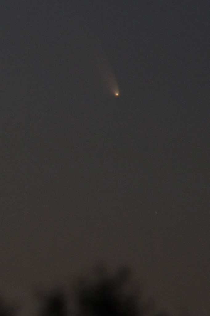 Comet PANSTARRS c/2011 L4 11/03/2013 19:30-19:45 PST Los Angeles ©Tim Jones