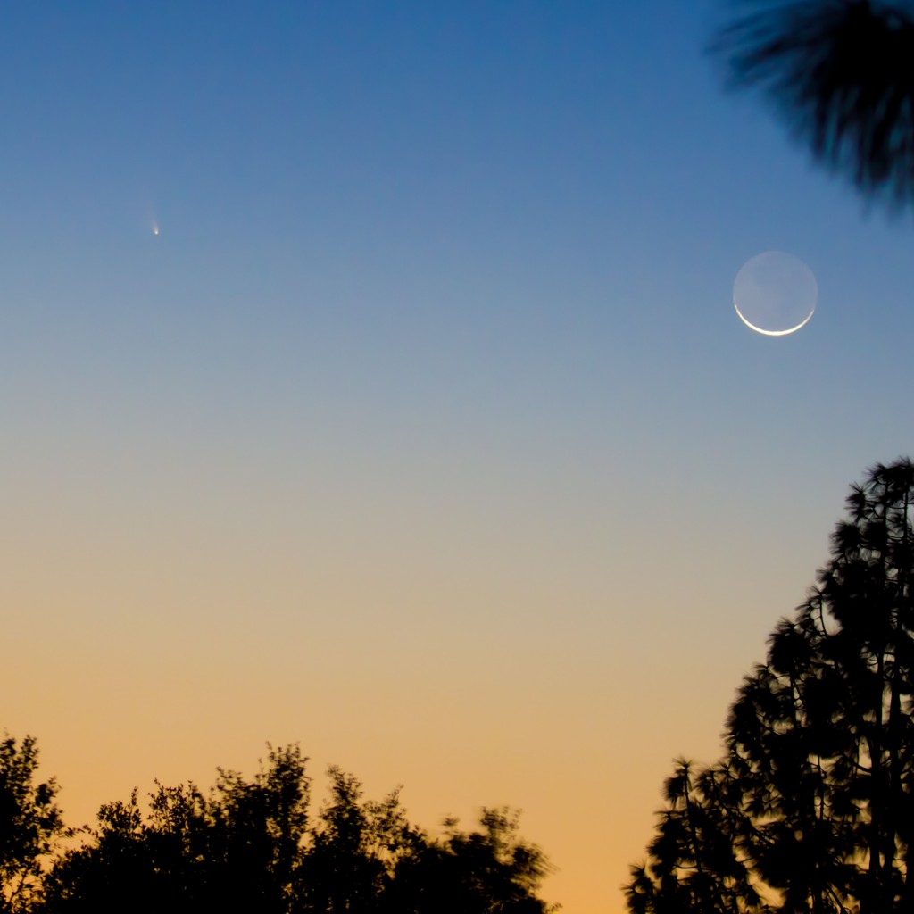 Comet PANSTARRS C/2011 L4 12/03/2013 19:30-20:00 PST Los Angeles, Canon 7D 100-400mm L ©Tim Jones