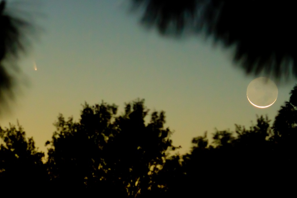 Comet PANSTARRS C/2011 L4 12/03/2013 19:30-20:00 PST Los Angeles, Canon 7D 100-400mm L ©Tim Jones