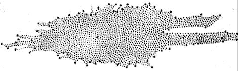 Herschel estimated the shape of our galaxy in 1785 (Wikicommons)